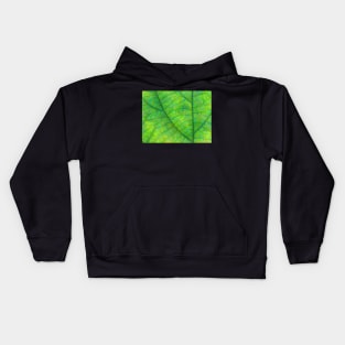 Leaf Macro Photo Painting Kids Hoodie